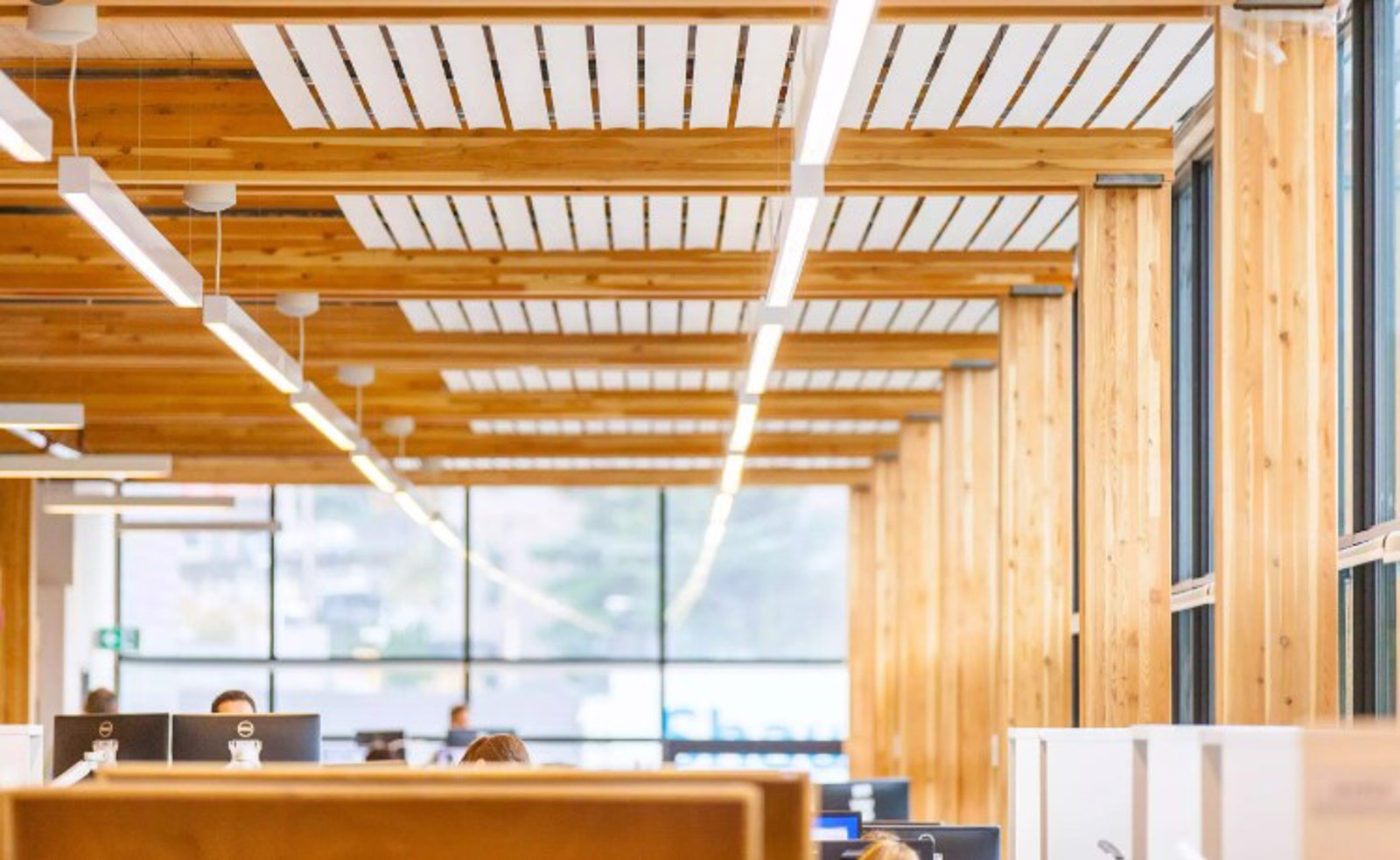 Mass Timber Imagery 7 Mass Timber Imagery 7